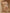 Ulivary Tassels Champagne Kimono Robe