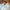 Ecobrands Cooling Comforter Set – Temperature-Regulating Eucalyptus Silk Comforter & Pillow Shams