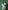 Ulivary Short Kimono Robe Bamboo