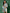 Ulivary Short Kimono Robe Bamboo