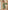 Ulivary Short Kimono Robe Olive