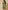 Ulivary Short Kimono Robe Olive