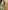 Ulivary Short Kimono Robe Olive