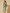 Ulivary Short Kimono Robe Olive