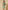Ulivary Short Kimono Robe Olive