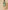Ulivary Short Kimono Robe Olive