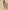 Ulivary Short Kimono Robe Olive