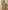 Ulivary Short Kimono Robe Olive