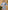 Ulivary Short Kimono Robe Blue Forest