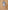 Ulivary Short Kimono Robe Blue Forest
