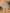 Ulivary Short Kimono Robe Blue Forest