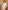 Ulivary Elegant Hollow Out Detail Short Robe With Pockets